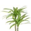 Artificial Muli Head Dracaena Tree with Mixed Green Leaves Fake Plant Foliage