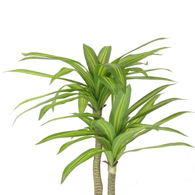 Artificial Muli Head Dracaena Tree with Mixed Green Leaves Fake Plant Foliage