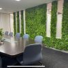 Artificial Green Wall Panel Installed into a Sydney office