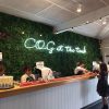 A stunning green wall backdrop to an event