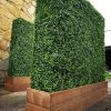 Artificial UV Boxwood Hedge with Timber Planter