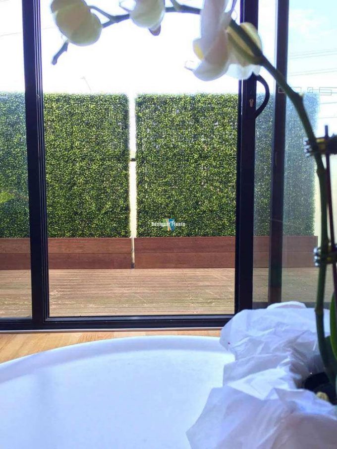 Fake Boxwood hedge with planters