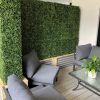 Large Portable Mixed Boxwood Hedge 1.5m by 1.5m UV Resistant