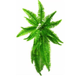 Artificial Boston Fern
