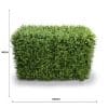 Deluxe Portable Buxus Hedge UV Resistant 100cm Long x 50cm High
