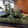 Portable Buxus Hedge in a reception area