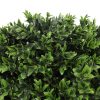 leaves of topiary shrub plant