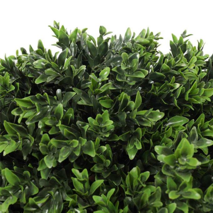 leaves of topiary shrub plant