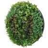artificial green wall black frame disc