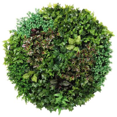 artificial green wall black frame disc