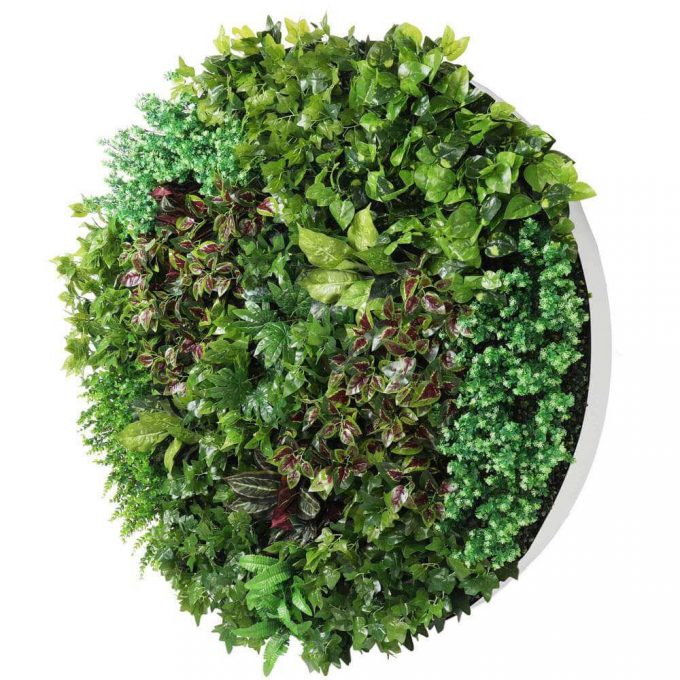artificial green wall white frame disc