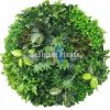 Mixed Ivy and Philodendron Artificial disk