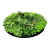 Dense Green Sensation Wall Disk 150cm Black