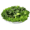 Dense Green Sensation White Disk 150cm