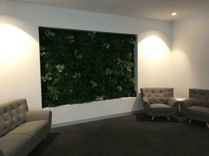 Artificial vertical garden / green wall installed in a living room