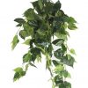 UV Philodendron Hanging Bush