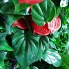 Mixed Jungle artificial green wall hedge panel