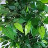 Bushy artificial ficus tree with plastic trunk