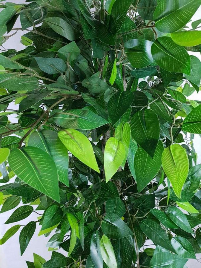Bushy artificial ficus tree with plastic trunk