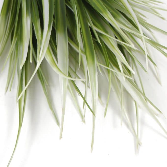 White Tipped Grass Stem UV Resistant 35cm