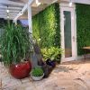 Fern Artificial Green Wall Panel Installed onto a back wall