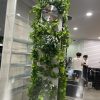 Philodendron garland