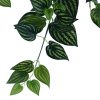 Fake Plant Philodendron Stem