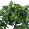 Fake Plant Philodendron Stem