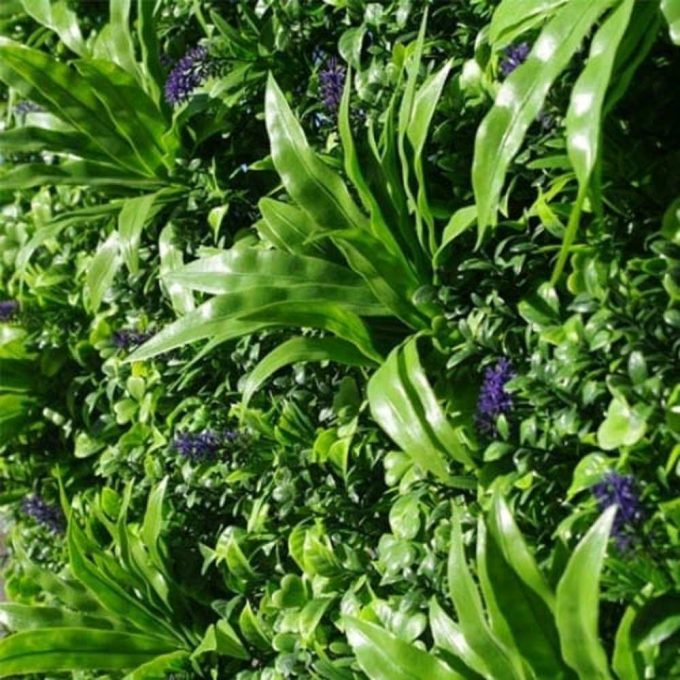 LAVANDULA VERTICAL GARDEN / GREEN WALL UV RESISTANT PREMIUM SAMPLE