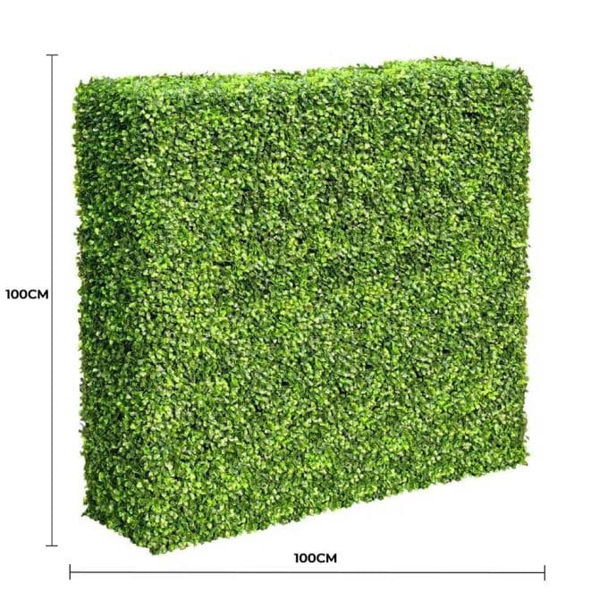 Mixed Boxwood Hedge UV Resistant 100cm Long X 100cm High