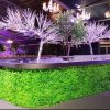 mixed fern green wall and hedge panels