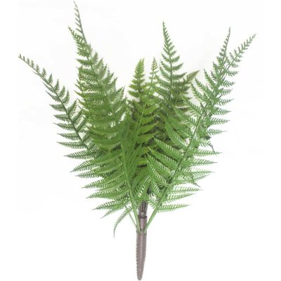 Dark Fern Stem