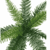 fern stem