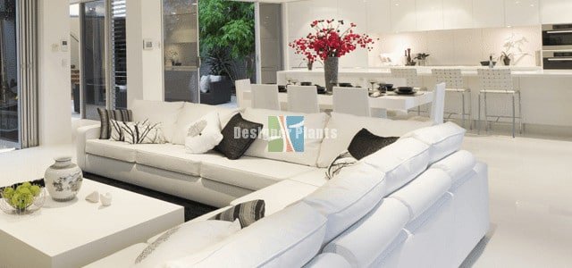 Home decorating and styling on a budget