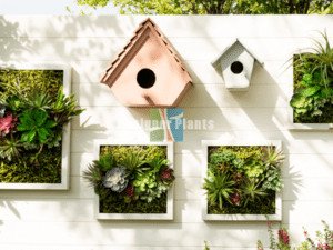 Vertical wall garden for home