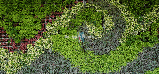 spiral and shape vertical garden wall design