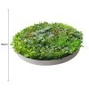 Artificial Green Wall Disc Art 150cm Mixed Ivy And Philodendron (Fresh White)