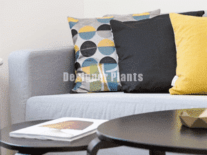 interior design colour for home options