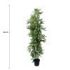 Artificial Bamboo Plant Black Bamboo 180cm Real Touch Leaves