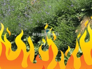 fire safe green walls