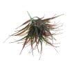 Artificial Brown Tipped Grass Plant UV Resistant 35cm