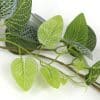 Artificial Light Fittonia Garland 190cm Light Green Faux Garland natural faux imitation stem