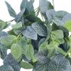 Artificial Fittonia Bush 80cm