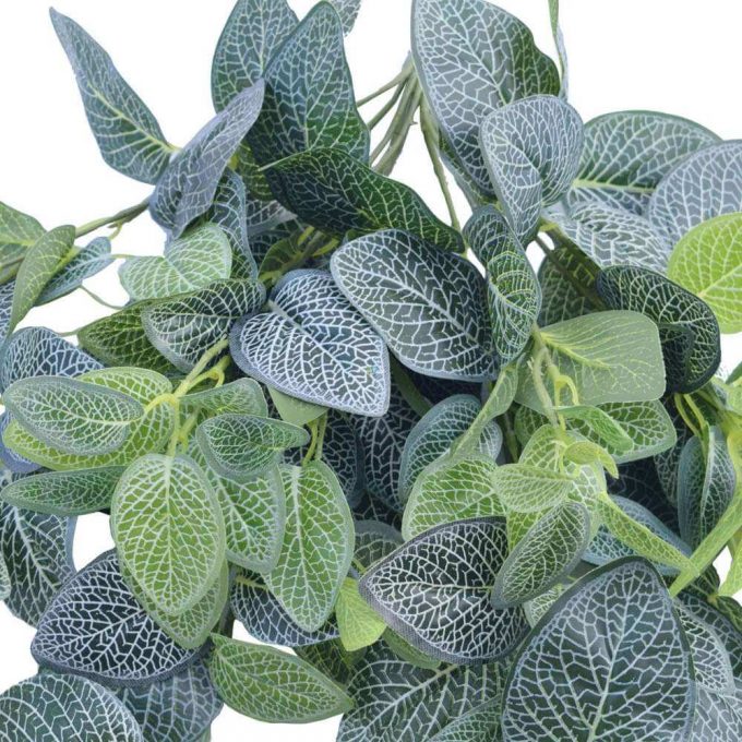 Artificial Fittonia Bush 80cm