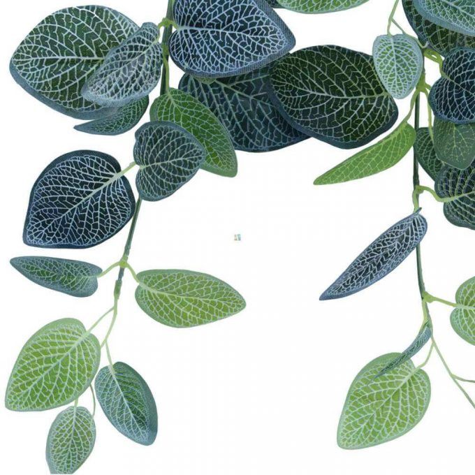 Artificial Fittonia Bush 80cm