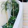 artificial flowering jasmine stem