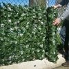 Ivy rolls extended out onto a cyclone fence