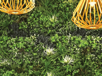 7 green wall ideas for your home