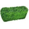 Artificial Plant-Deluxe Portable Buxus (Bright) UV Resistant 100cm Long x 50cm High x 25cm Wide