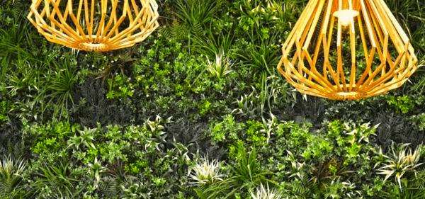Green wall ideas